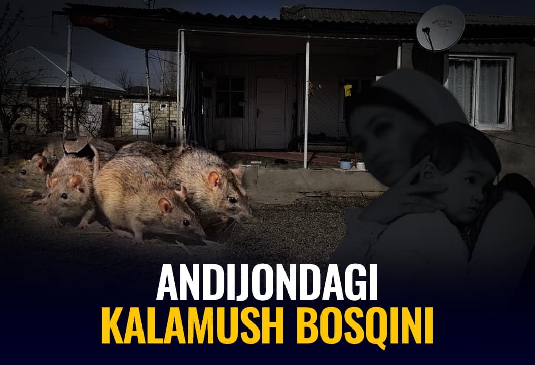 “Odamlar qo‘rquvdan yosh chaqaloqlarni quchib yotardi”: Andijondagi kalamush bosqini