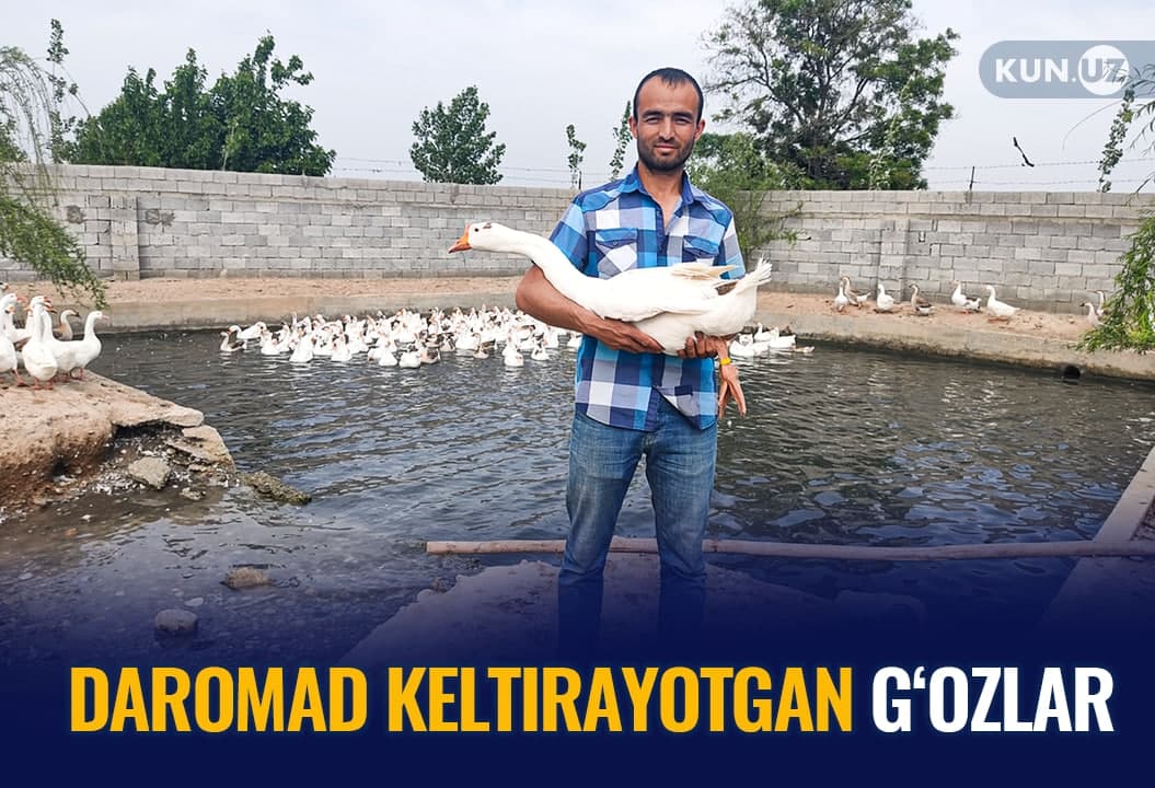G‘oz ortidan million daromad