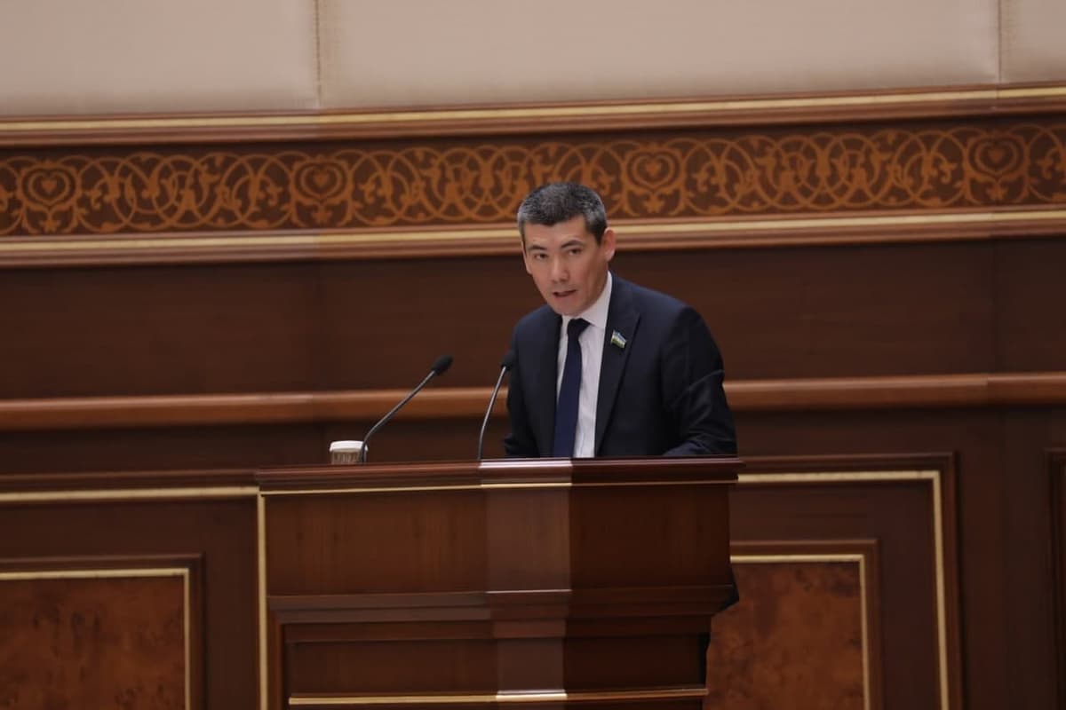 Senator “Vikipediya”ga O‘zbekiston haqidagi ma’lumotlarni yetarlicha joylashtirmagan vazirliklarni tanqid qildi