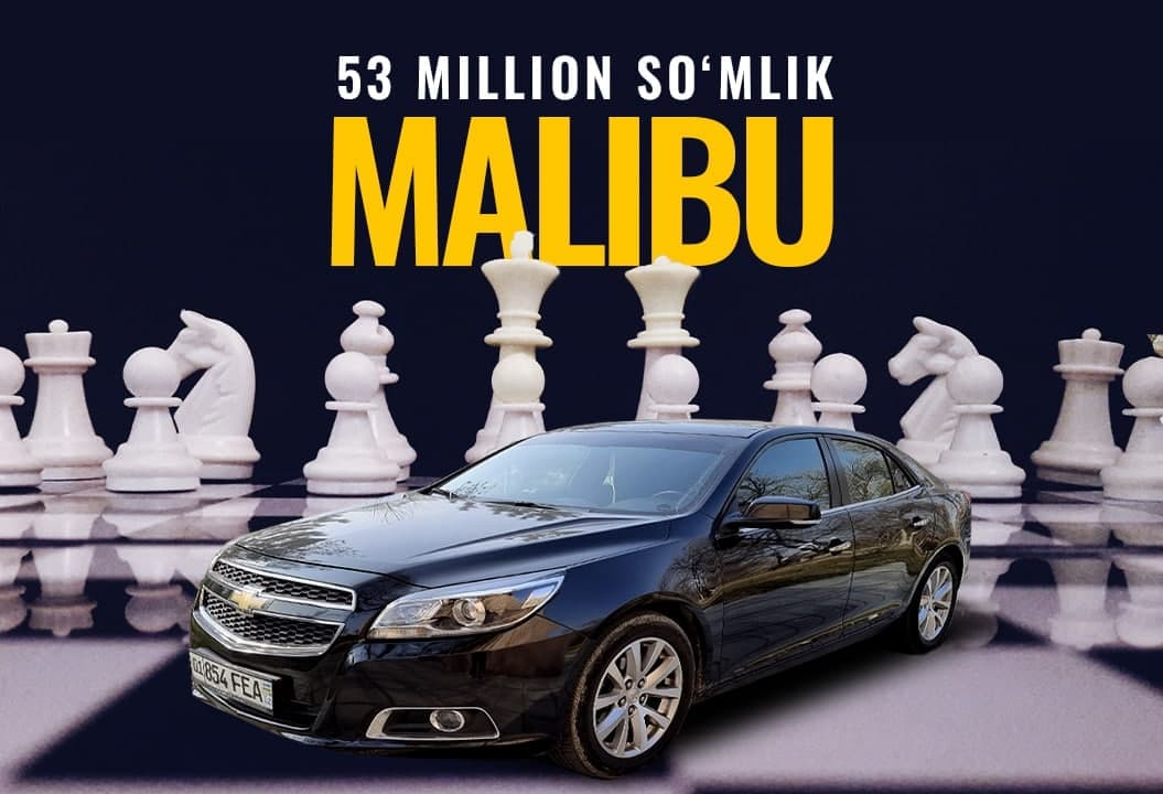 53 million so‘mlik «Malibu» – Shaxmat federatsiyasining ayrim moliyaviy operatsiyalari haqida
