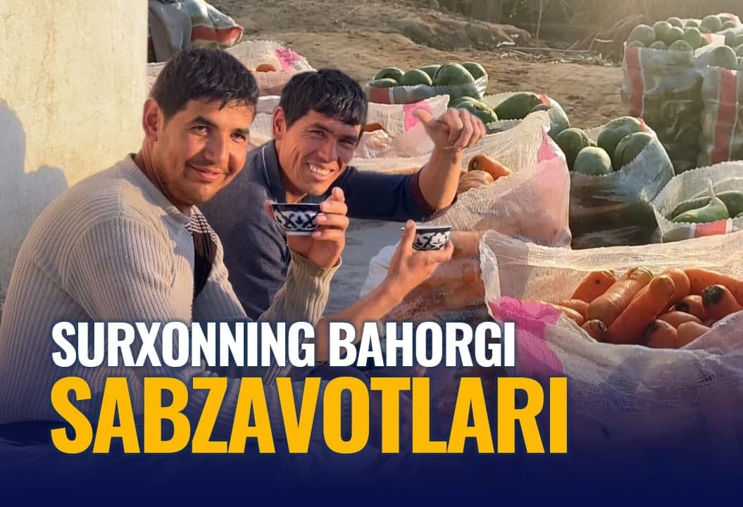 Surxondaryoda ertangi sabzavotlar pishib yetildi: ularni bozorbop ko‘rinishiga keltiruvchi qurilma
