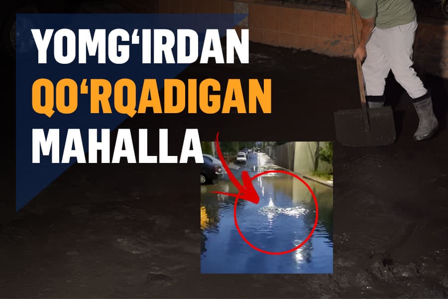 Balchiq hidini «yutib» yashayotganlar – Chilonzor mas’ullari va’dasida turadimi?
