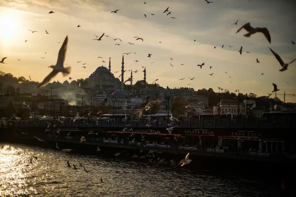 «Vova amaki Erdo‘g‘an amakidan rossiyaliklar hayotini og‘irlashtirishni so‘ragan». Nega ruslarga Turkiyada yashash ruxsatnomasi berilmayapti?