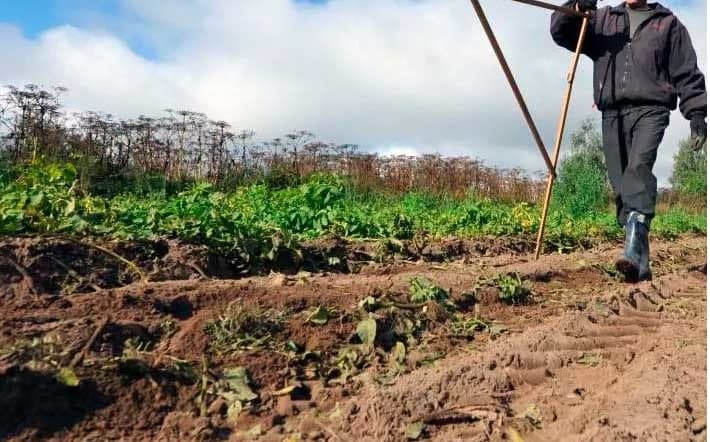 Xorazm viloyatida 225 gektar yer maydoni o‘zboshimchalik bilan egallab olingani ma’lum bo‘ldi