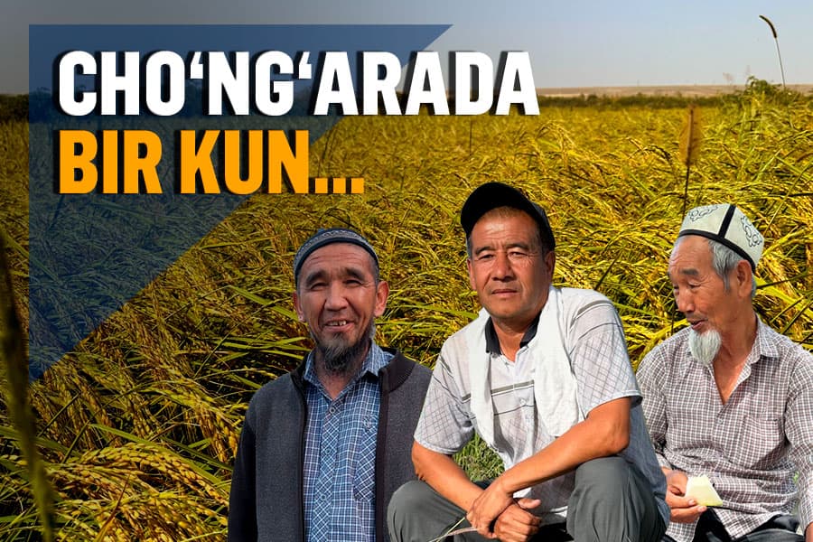 “Hammaning tirikchiligi guruchdan” - sholichilar qishlog‘i Cho‘ng‘araga sayohat