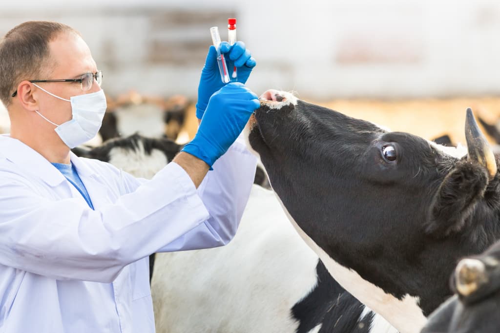 Davlat veterinariya inspektorlarining obektlarga moneliksiz kirish bo‘yicha vakolatlari qisqartirildi