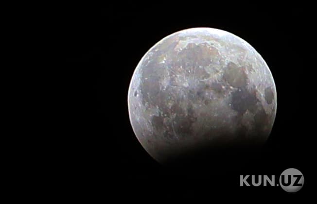 O‘zbekistonliklar 8 noyabr kuni to‘liq Oy tutilishiga guvoh bo‘ladi