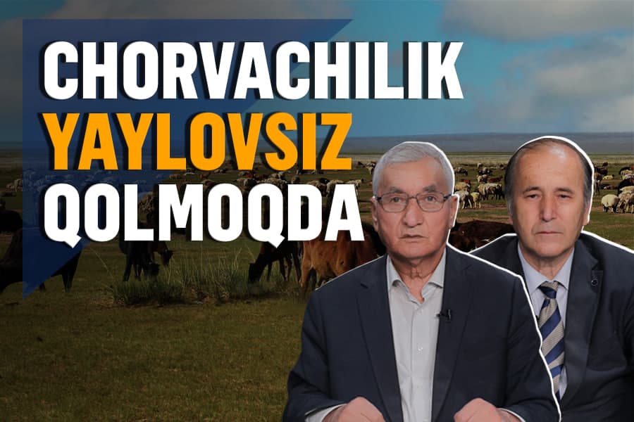 “Yaylovlar bo‘yicha siyosatni o‘zgartirmasak, chorvachilik xavf ostida” – olimlar e’tiborsiz qoldirilayotgan soha haqida
