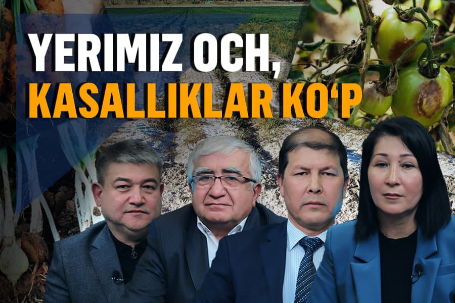Kimyoviy o‘g‘itlarga to‘yingan tuproq: Ekinzorlarimizni qanday qutqarish mumkin?