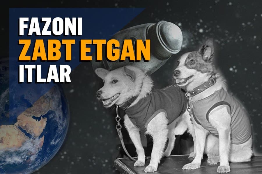 Fazoni «zabt etgan» itlar: Belka va Strelkaning olamshumul parvozi qanday amalga oshirilgan edi?