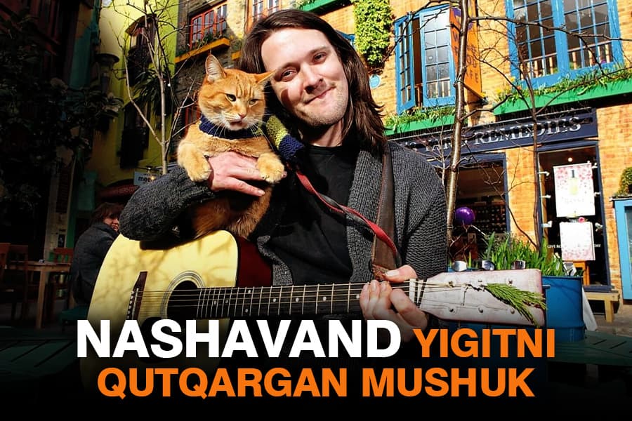 Kinoga ko‘chgan hayot. Nashavand yigitning oddiy mushuk tufayli dunyoga mashhur bo‘lgani haqida hayotiy hikoya