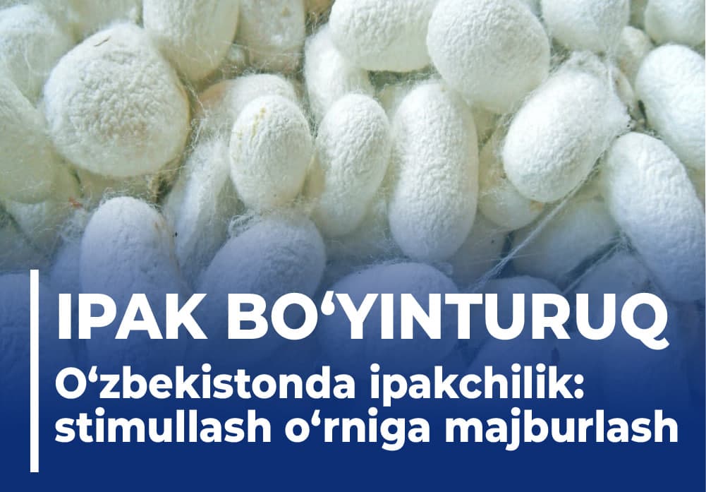 O‘zbekistonda ipakchilik: samarasiz byurokratik boshqaruv saqlanib qolmoqda