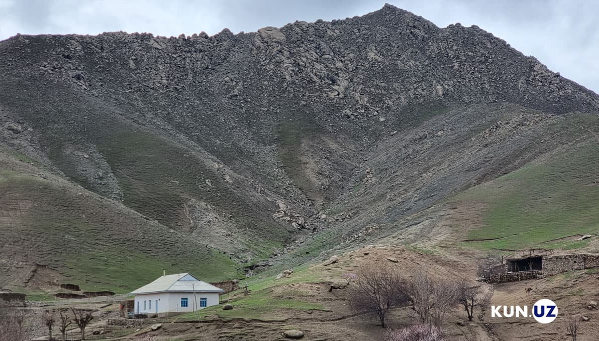 O‘zbekistonda 2,4 mln xonadonning kadastr hujjati yo‘qligi ma’lum qilindi